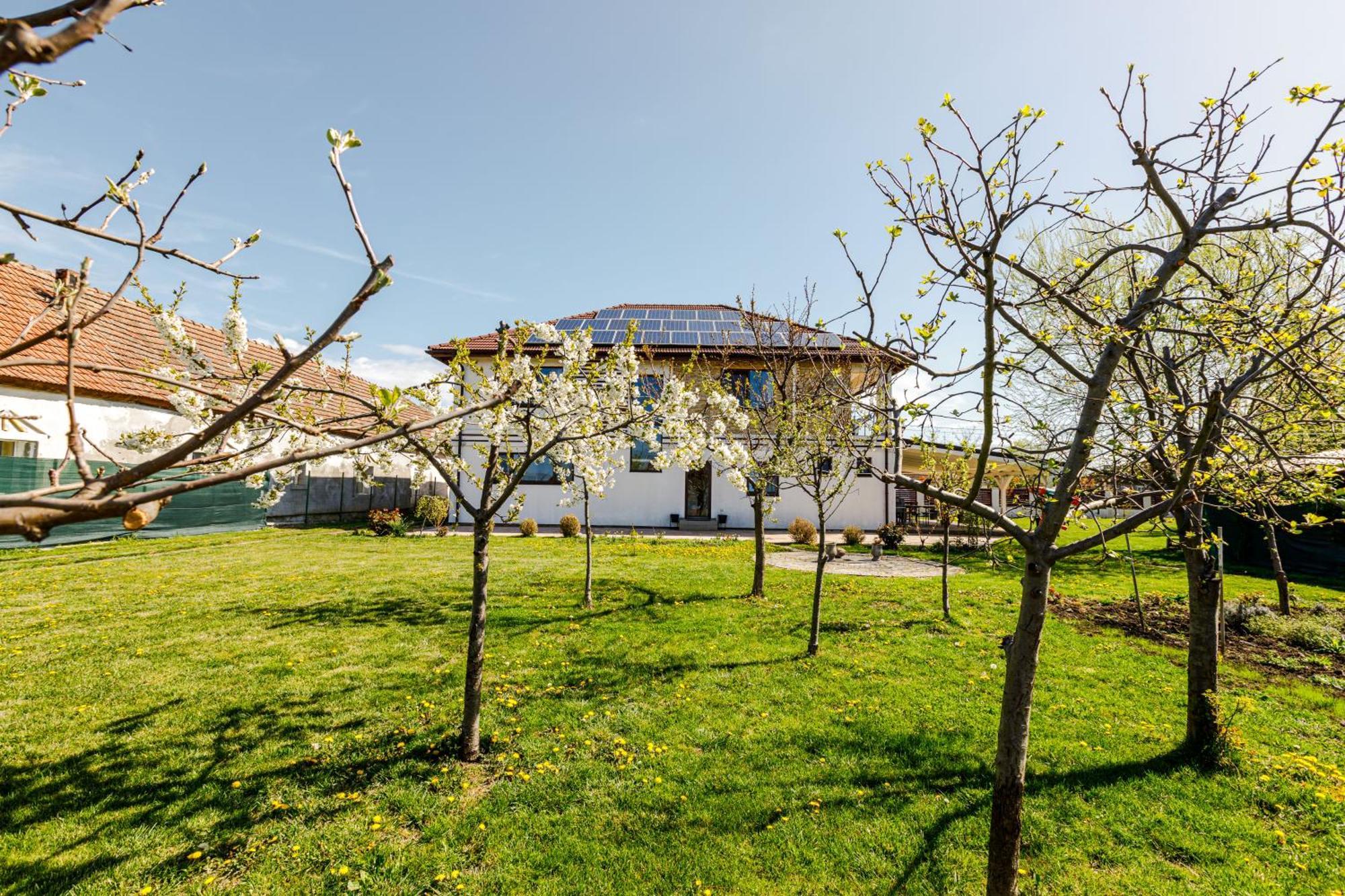 Gasthaus Sacalaz Hotel Timisoara Bagian luar foto